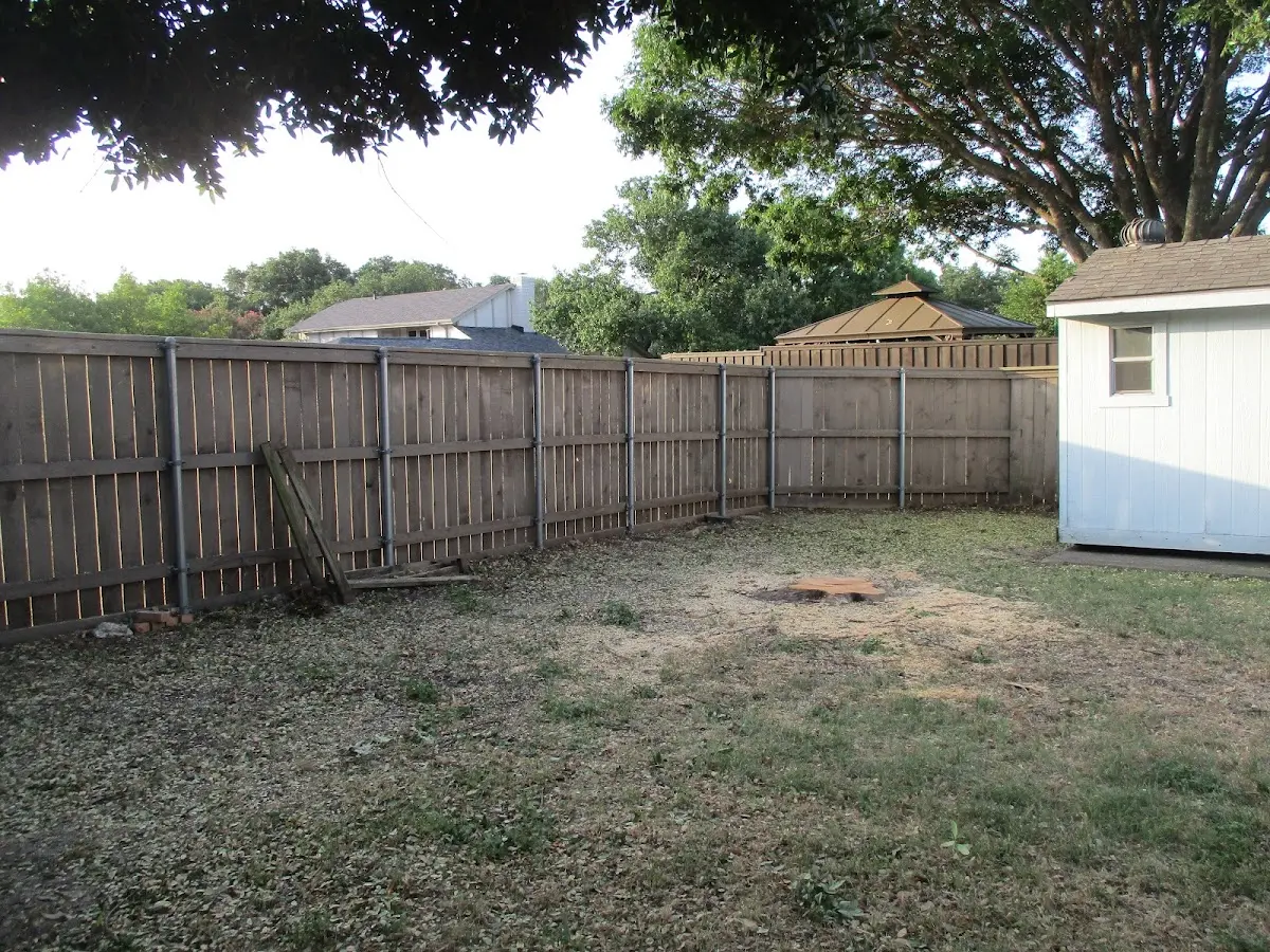 Cleared yard after professional tree removal in French Lick
